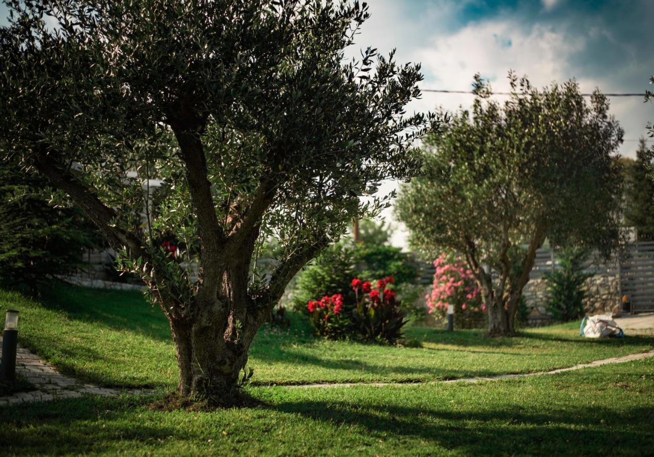 Hacienda Verde Serez Dış mekan fotoğraf